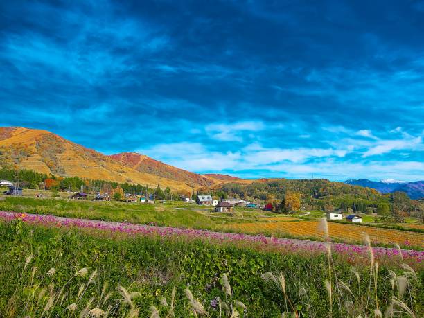 istock Japanese landscape 1068 plateau 1284364210