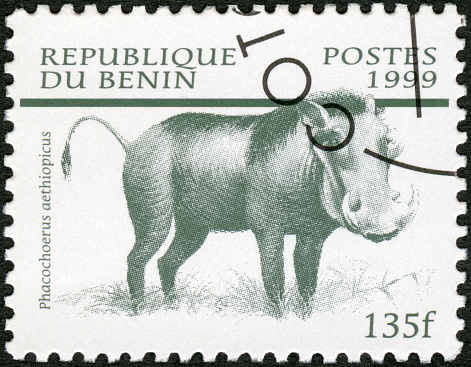 Postage stamp printed in Benin shows Phacochoerus aethiopicus, African Wildlife, 1999