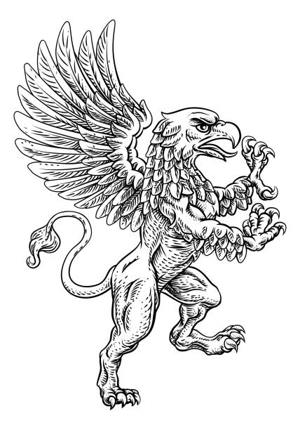 Griffon Rampant Gryphon Coat Of Arms Crest Mascot A griffin also known as a gryphon or griffon with lion body, wings and eagle head. Rampant standing on hind legs coat of arms crest mascot bills lions stock illustrations