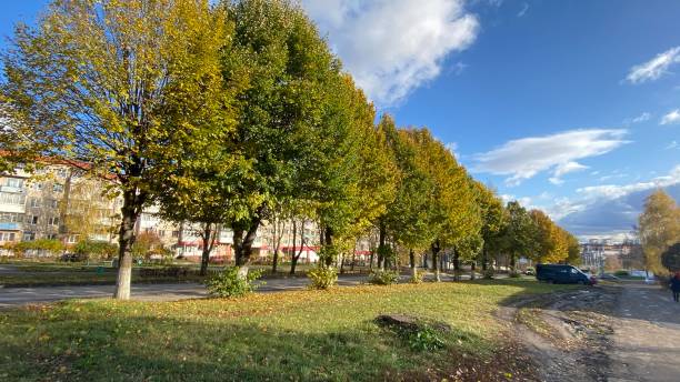 istock Streets with trees in autumn on a Sunny day 1284373389