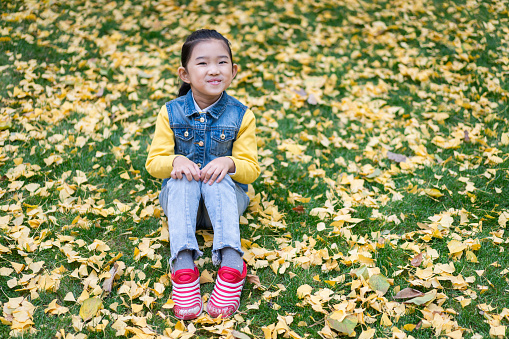 Little Girl Sitting on the Grass Covered with Leaves