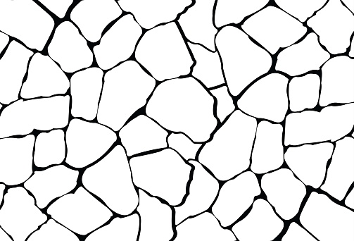 Stone plate paving seamless pattern. Seamless vector abstract pattern. Black white tracery texture background. - Vector