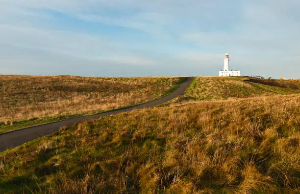 Lighthouse under blue sky with grasses and road running down the middle in foreground at sunrise in autumn at Flamborough, Yorkshire, UK.