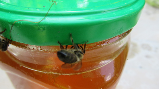 A close up of a honey bee tries to get into honey jar