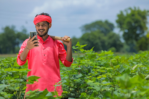Young indian farmer using smartphone in cotton field