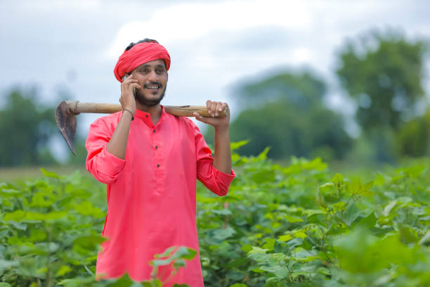 Young indian farmer talking smartphone in cotton field Young indian farmer talking smartphone in cotton field village maharashtra stock pictures, royalty-free photos & images