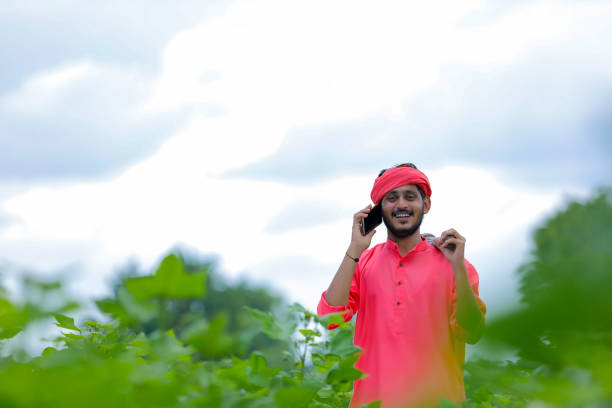 istock Young indian farmer using smartphone in green cotton field 1284379614