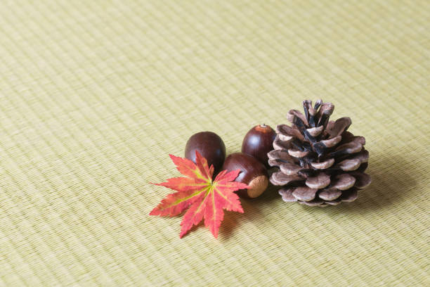 Maple leaf, pine cone and acorns on tatami mat