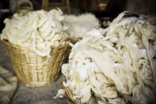 istock Detail of freshly cut virgin wool 1284386887
