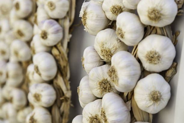 cadenas de ajo seco en un mercado tradicional - garlic hanging string vegetable fotografías e imágenes de stock