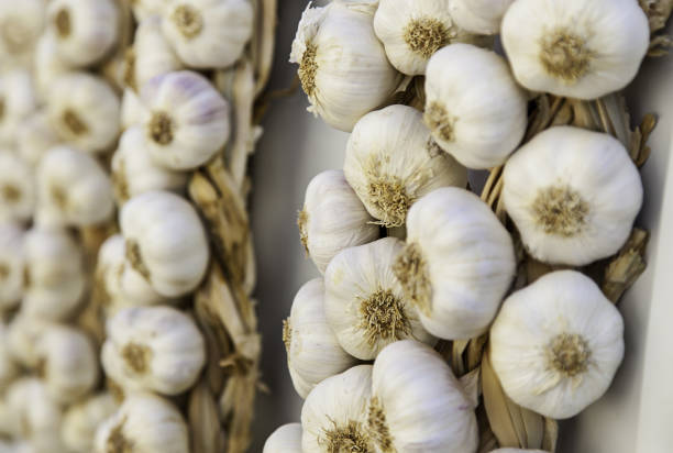 строки сушеного чеснока на традиционном рынке - garlic hanging string vegetable стоковые фото и изображения