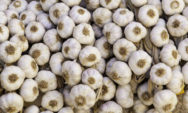 istock Strings of dried garlic in a traditional market 1284386903