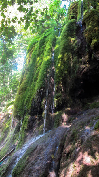 istock Beautiful waterfall in the forest covered with green moss. Caucasian mountain forest waterfall. 1284387007