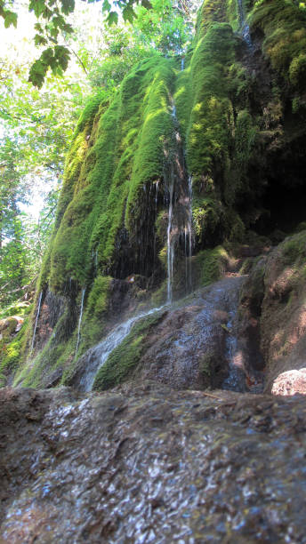 istock Beautiful waterfall in the forest covered with green moss. Caucasian mountain forest waterfall. 1284387045