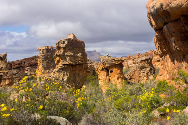 istock Weathered sandstone formations surrounded by yellow wild flowers 1284389682