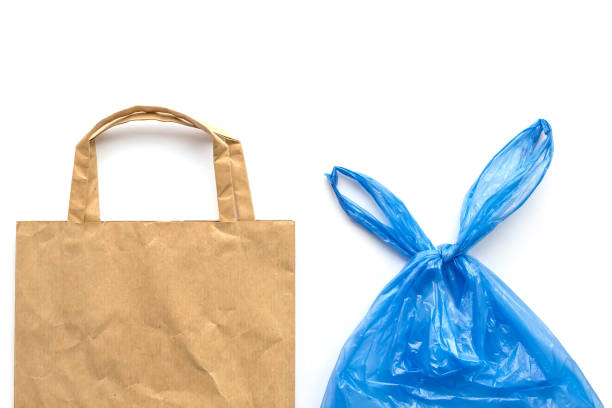 istock Brown recyclable eco paper bag vs blue plastic bag isolated on white background. Environmental choice concept. Zero waste. Top view, flat lay, copy space. 1284390121