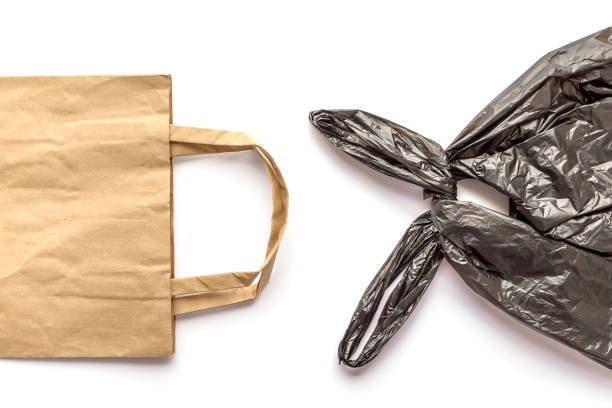 Brown recyclable eco paper bag vs black plastic bag isolated on white background. Environmental choice concept. Zero waste. Top view, flat lay, copy space.