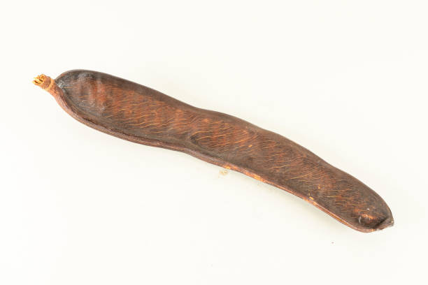 istock Close-up of carob fruit 1284393059