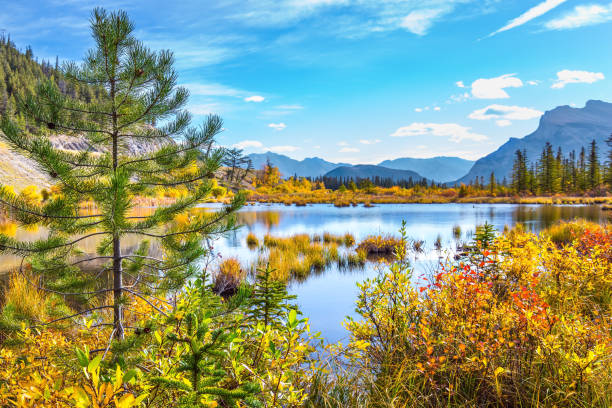 lago vermillon entre aspens amarillos - indiana summer lake tree fotografías e imágenes de stock