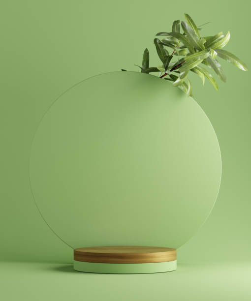 istock 3D illustration geometric pedestal for product presentation with leaves. Abstract background. Mockup 1284400049