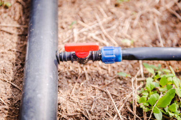 istock Drip Irrigation System Close Up. Water saving drip irrigation system being used in farm. 1284403014