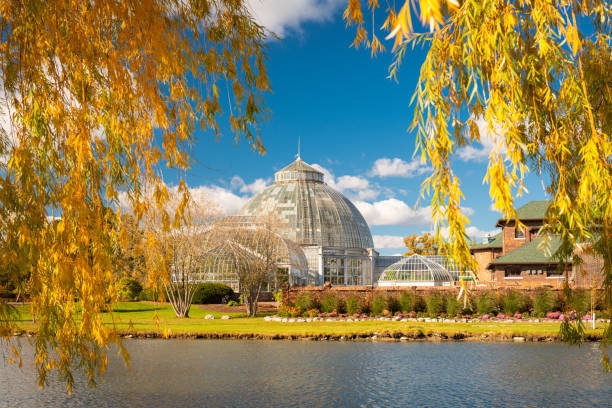 Belle Isle, Dertroit, Michigan, USA Belle Isle, Dertroit, Michigan, USA with autumn foliage. detroit michigan stock pictures, royalty-free photos & images