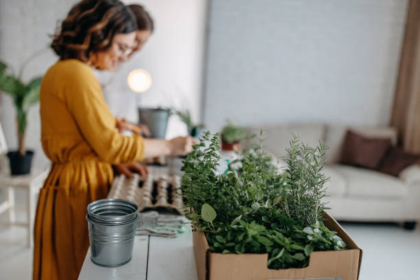 istock Young women planting spices indoors 1284404202