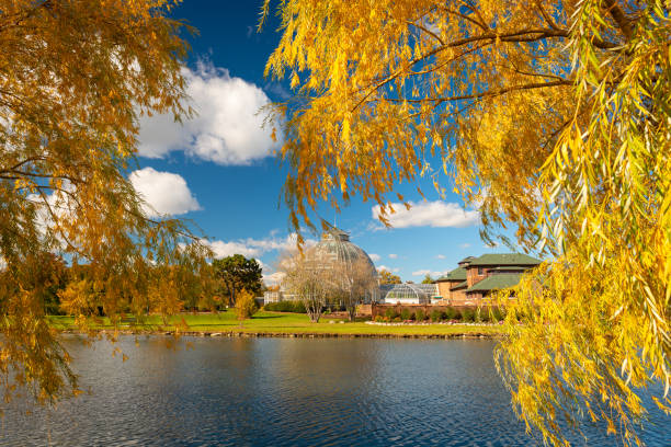 Belle Isle, Dertroit, Michigan, USA Belle Isle, Dertroit, Michigan, USA with autumn foliage. belle isle stock pictures, royalty-free photos & images