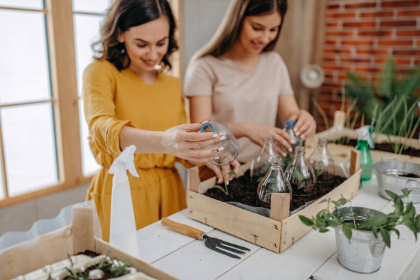 istock Young women planting spices indoors 1284404239