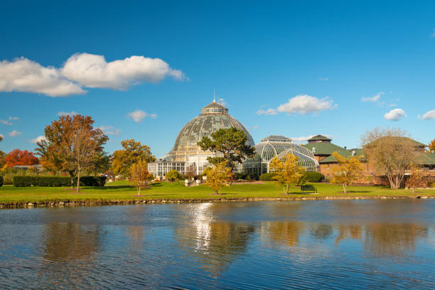 Belle Isle, Dertroit, Michigan, USA Belle Isle, Dertroit, Michigan, USA with autumn foliage. belle isle stock pictures, royalty-free photos & images