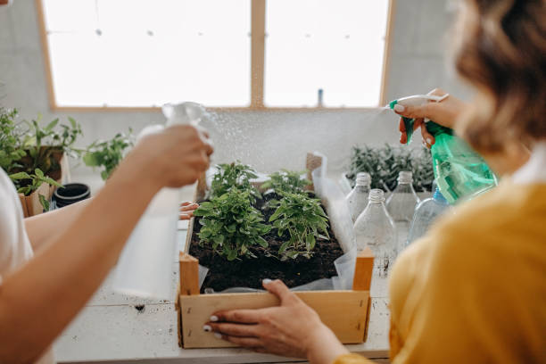 istock Gardening, planting at home 1284404273