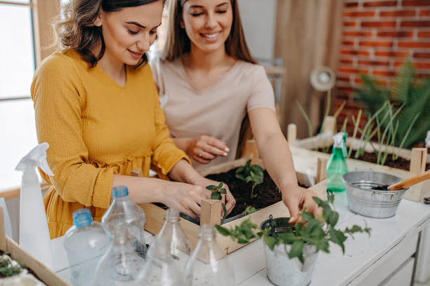 istock Gardening, planting at home 1284404441