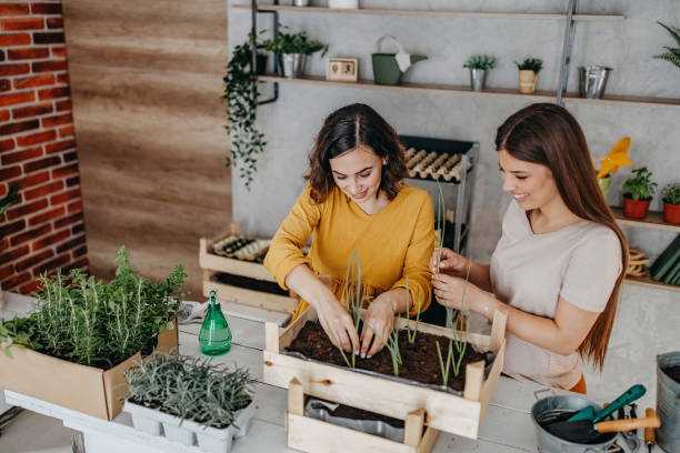 istock Young women planting spices indoors 1284405085
