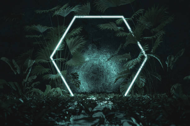 istock 3d rendering of blue lighten hexagon shape surrounded by jungle trees 1284405309