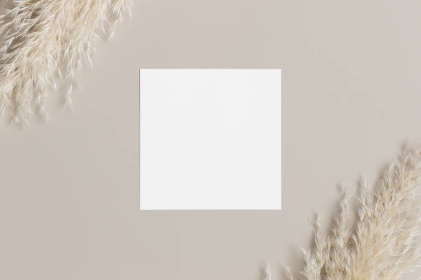 istock Invitation square card mockup with a pampas grass decoration. 1284406517