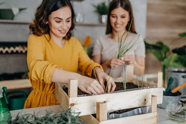istock Young women planting spices indoors 1284407052
