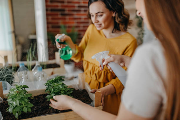 istock Gardening, planting at home 1284407223