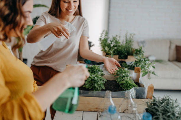 istock Gardening, planting at home 1284407962