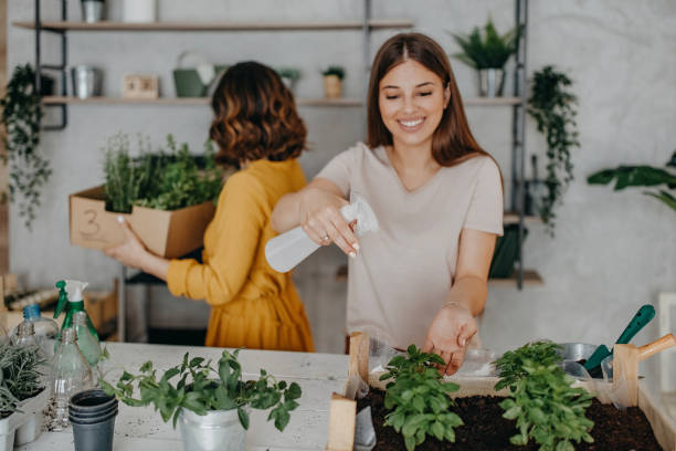 istock Gardening, planting at home 1284408172