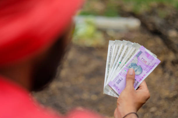 istock Young indian farmer counting money 1284408224