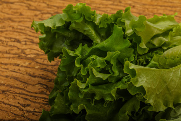 Vegan cuisine - Green lettuce salad heap leaves