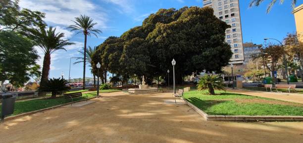 istock Paseo de Canalejas in Alicante 1284428675
