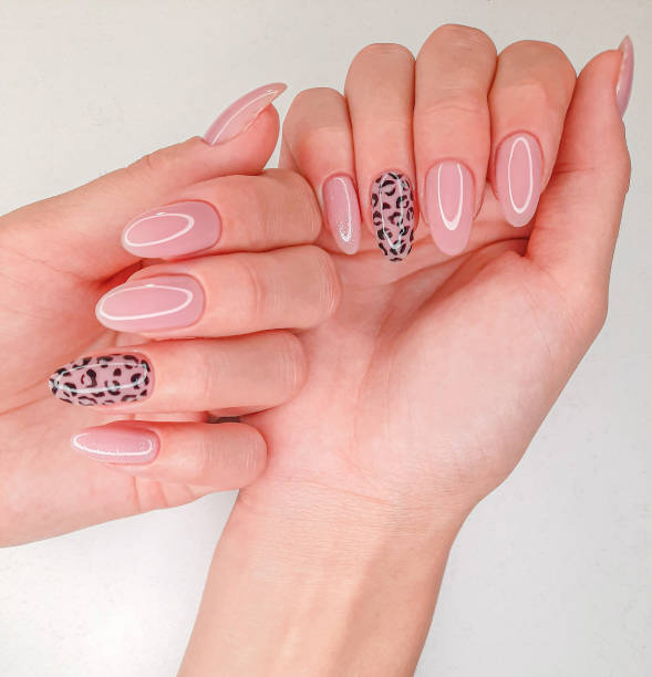 hermosa manicura rosa con diseño de leopardo. dedos femeninos con uñas largas y redondas y esmalte de gel rosa - fingernail acrylic women beauty fotografías e imágenes de stock