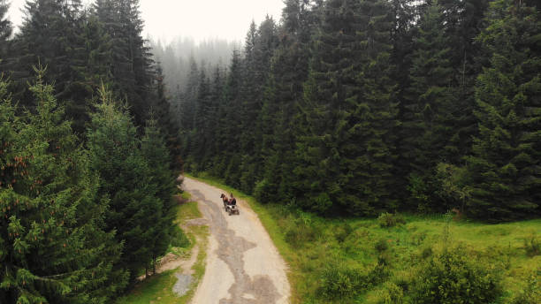 istock Topview of horse carriage. 1284430133