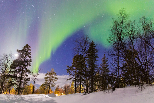 aurora borealis over a forest with artificial lighting