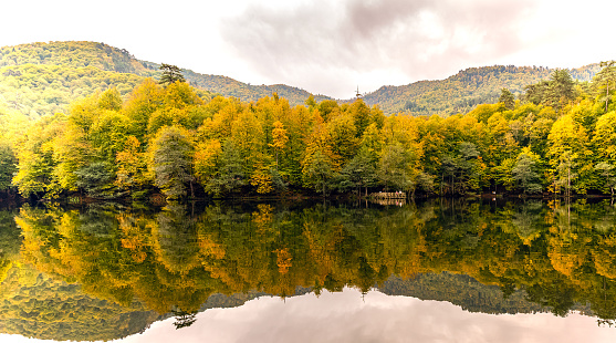 Autumn at Yedi Goller (Seven Lakes ) national park Bolu Turkey