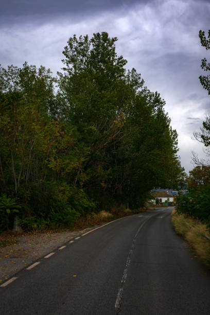 istock Landscape of a road between trees in autumn 1284436915