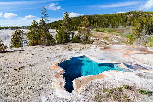 Visitors get a close up view of one of more than 10,000 thermal features in Yellowstone. Research on heat-resistant microbes in the park’s thermal areas has led to medical, forensic, and commercial uses.