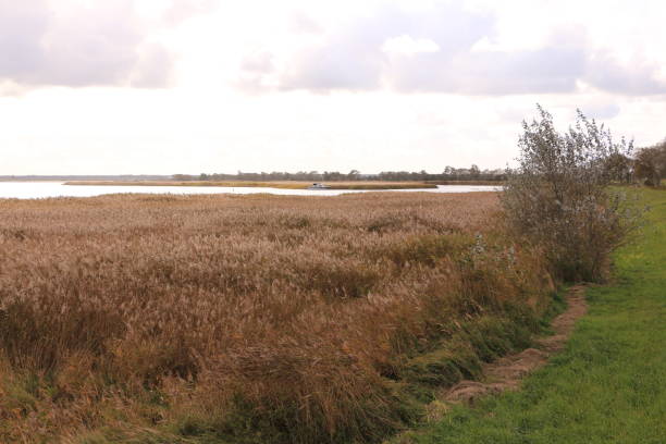 istock View of the Barther Bodden 1284440733