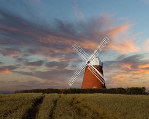 The old Windmill at Sunset Halnaker Windmill, West Sussex chichester stock pictures, royalty-free photos & images